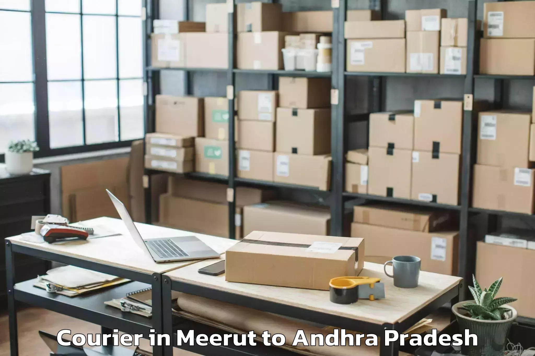 Book Meerut to Rayavaram Courier Online